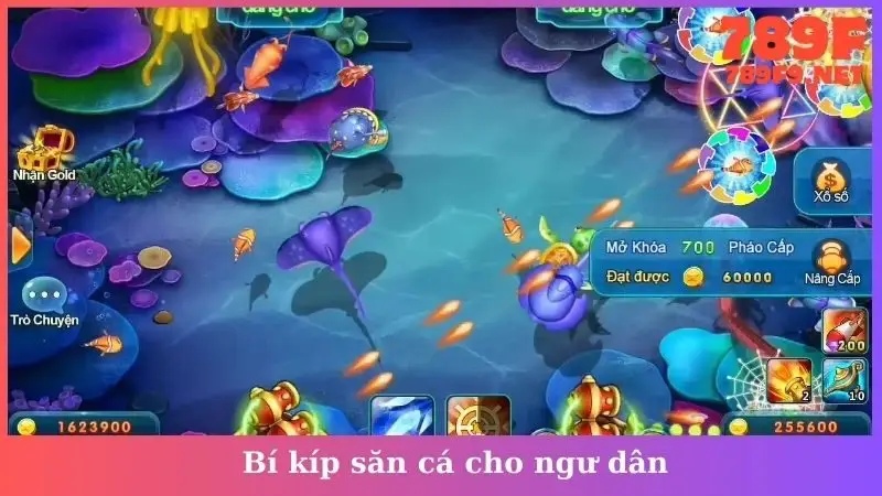 Bí kíp săn cá cho ngư dân