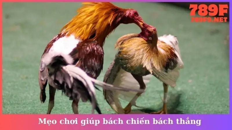 Mẹo chơi giúp bách chiến bách thắng