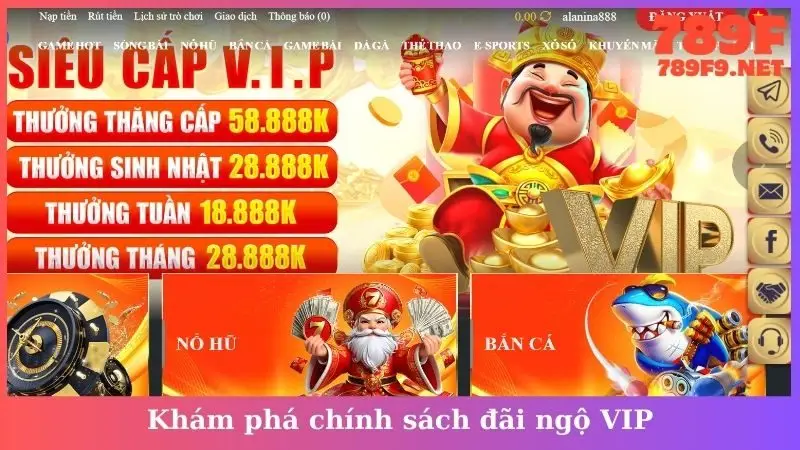 Khám phá chính sách đãi ngộ VIP